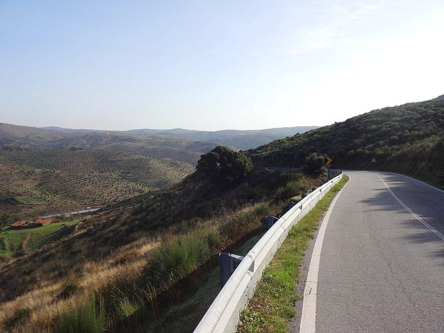 Zjazd / Downhill