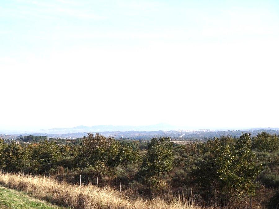 Widoczek / View