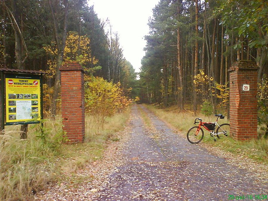 Jedna z wielu "bram" do niebezpiecznego lasu