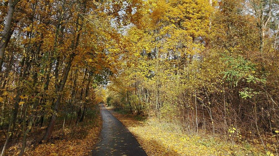 Jesień