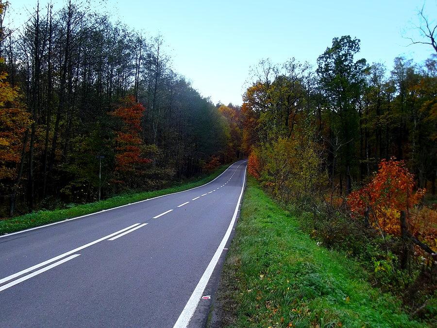 Droga z Czyżowic do Rogów
