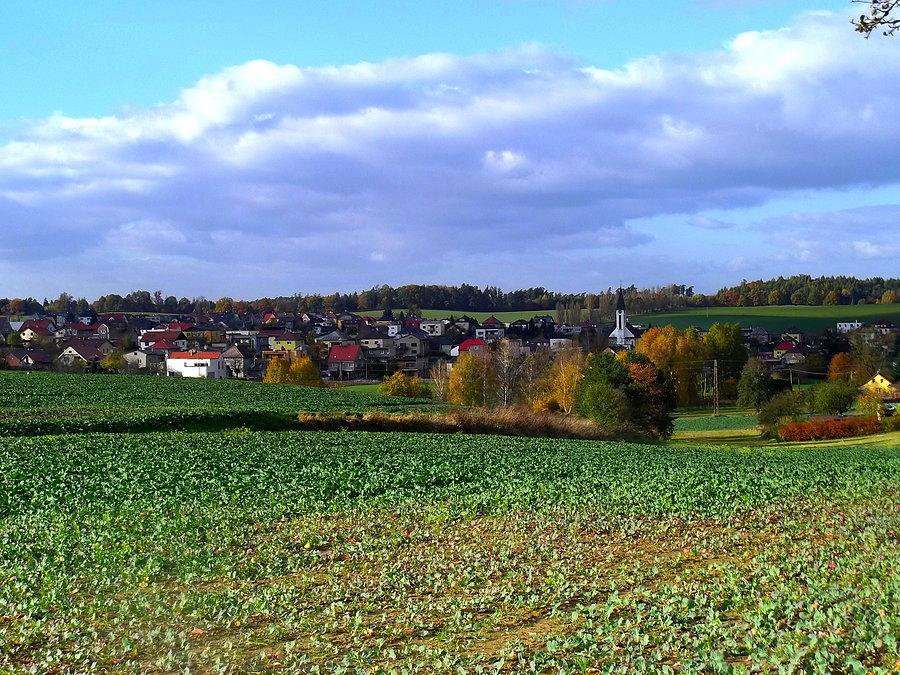 Vřesina