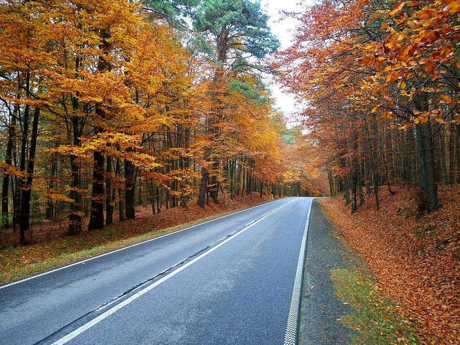 Koło Ostężnika