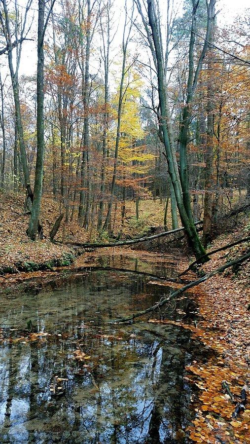 Żródła