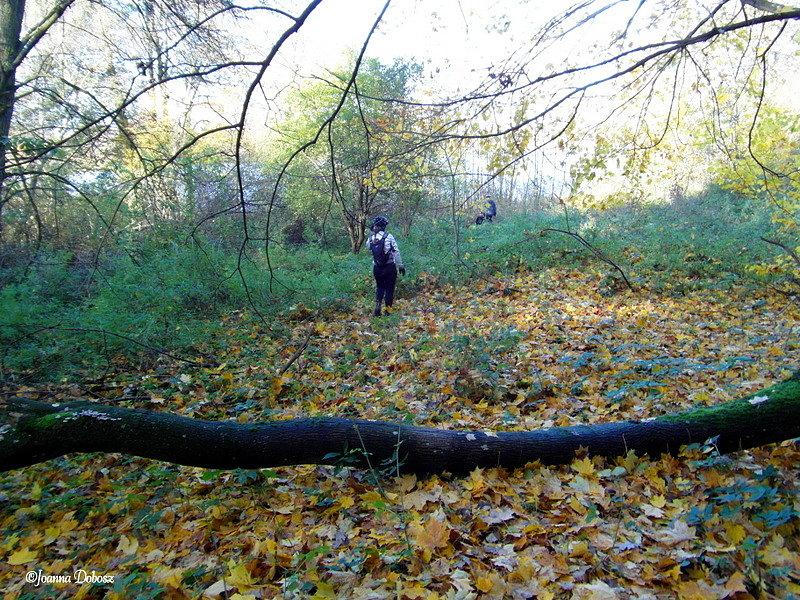 Poszukiwania kamieni granicznych