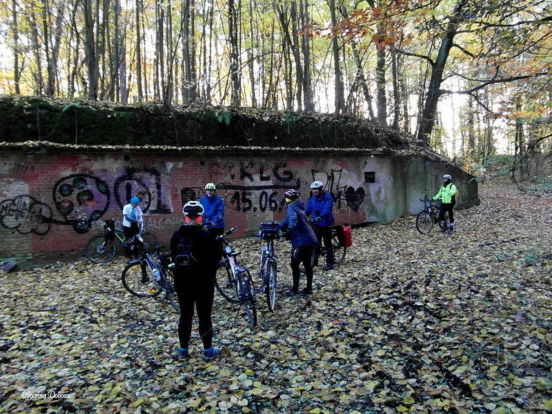 Bunkry w lesie wielbarskim