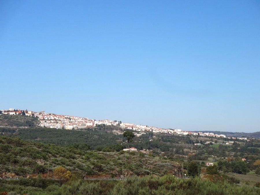 Guarda