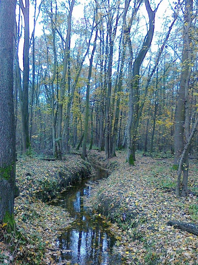 Strumyk jesienią