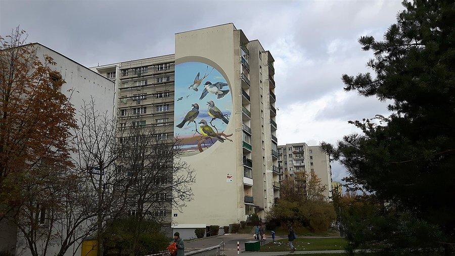 Domek dla ptaków