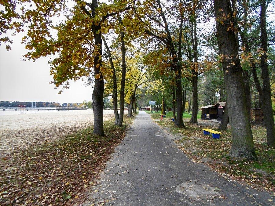 Pusta promenada nad Miedwiem