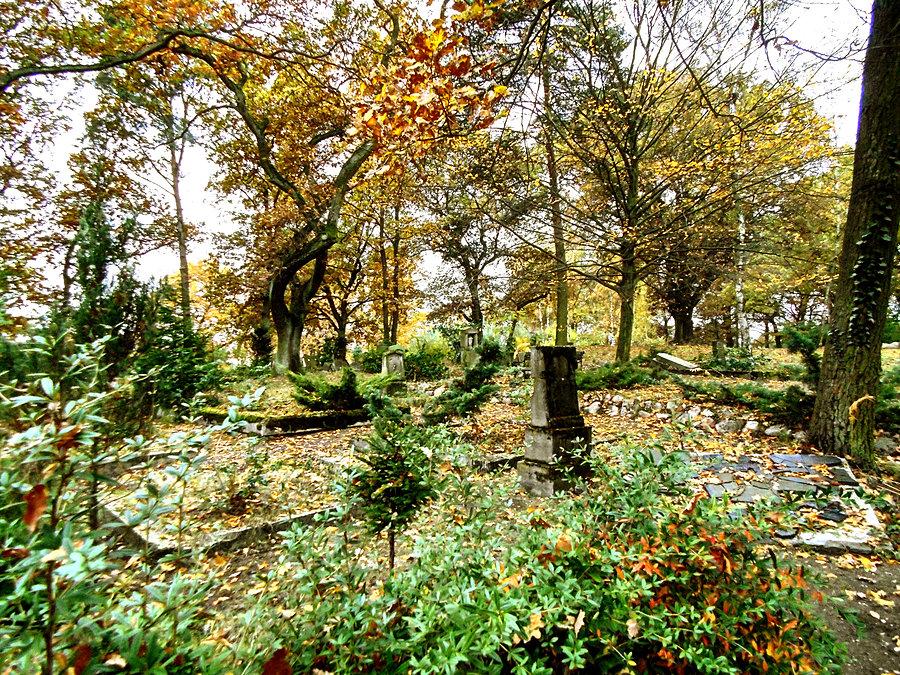 Park Pamięci w Morzyczynie