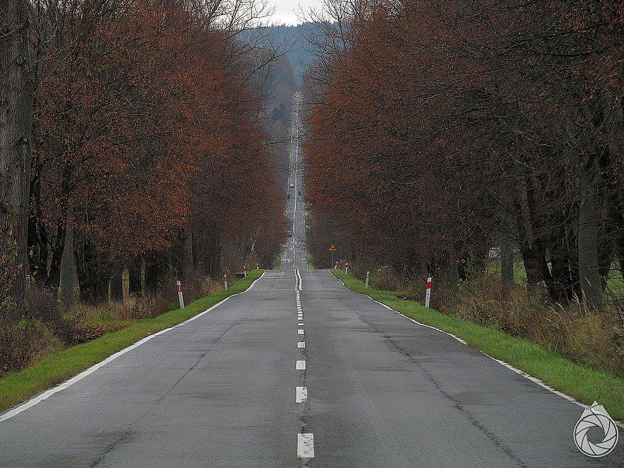 Prosta gładyszowska
