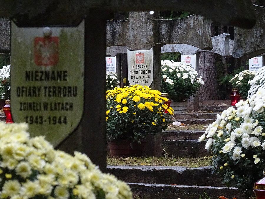 Cmentarz wojskowy w Wiktorowie. KPN