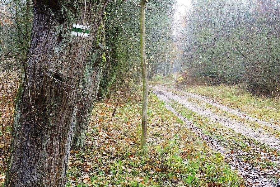 Tu kiedyś była wieś - Wyględy Górne