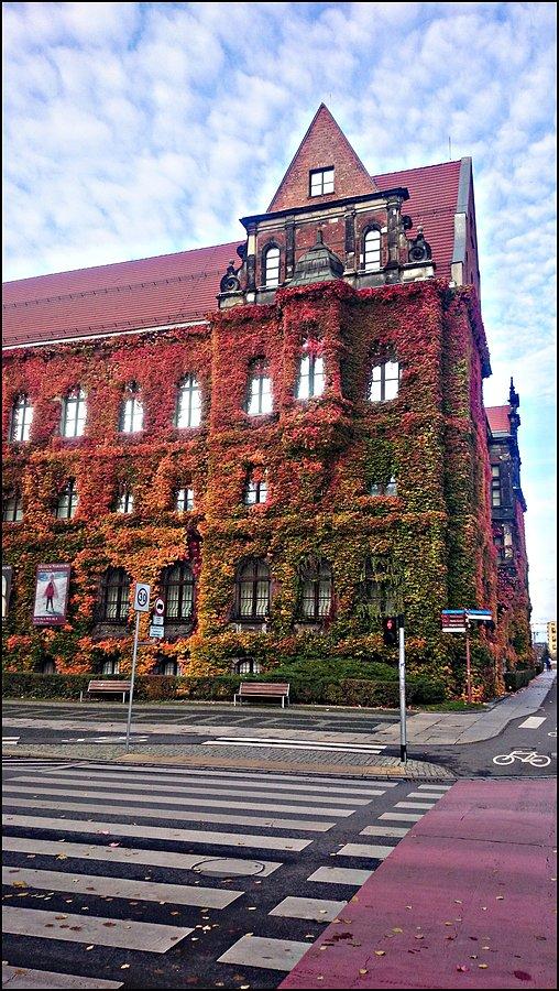 Muzeum Narodowe jesienią