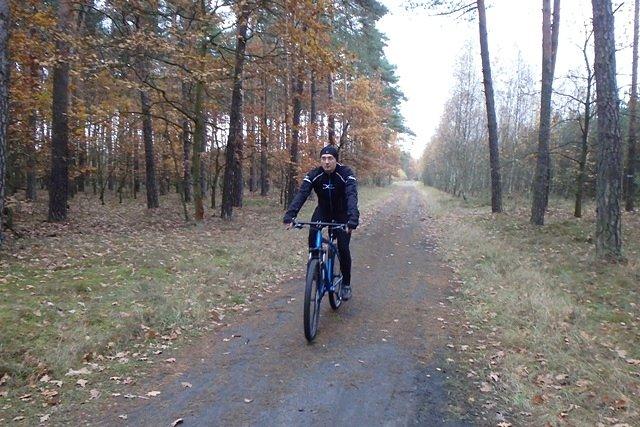 Na jednej z wielu ścieżek w Lesie Gdańskim