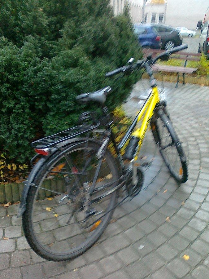 Pszczółka na parkingu