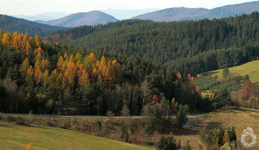 Podjazd nad Krzyżówkę