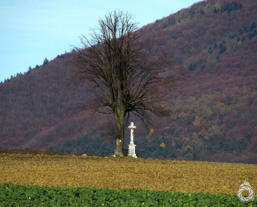 Polny krzyż pod Busovem