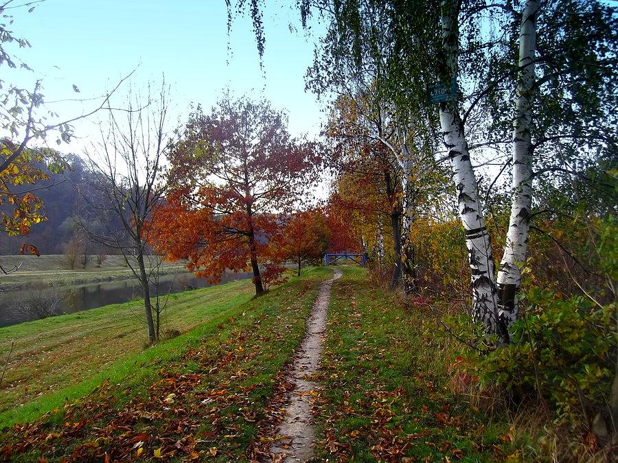 Wał nad rzeką Opawą