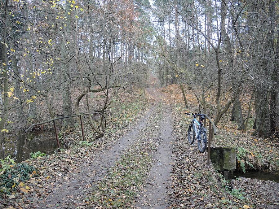 Mostek na Miale w okolicy leśniczówki Bielsko