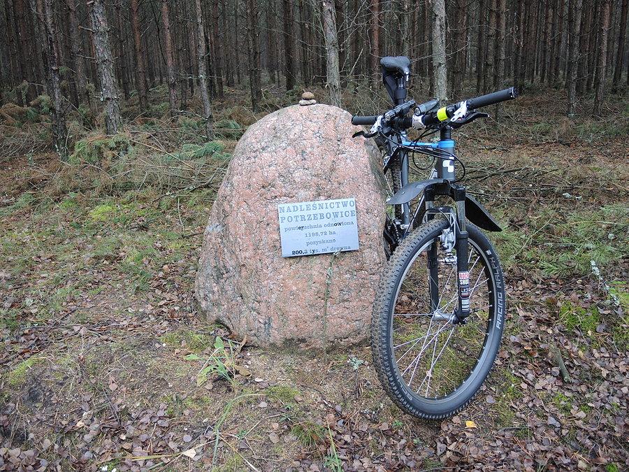 W drodze do Mężyka - kolejny kamień puszczański