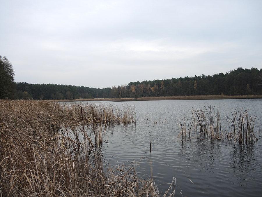 Jezioro Zdręczno jeszcze jedno ujęcie