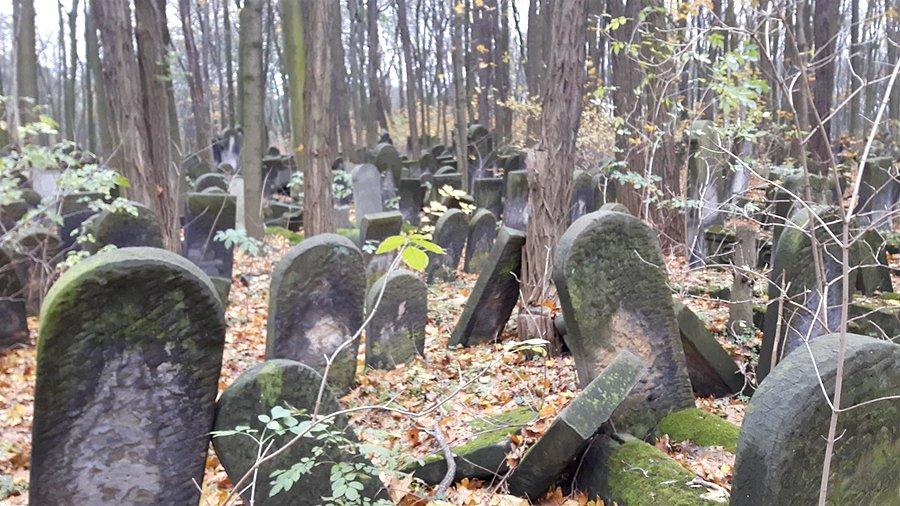 Kirkut na Powązkach