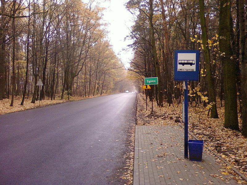 Zgierz, Konstantynowska