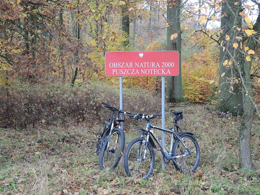 Puszcza Notecka - za chwilę odbijamy w kierunku Klempicza