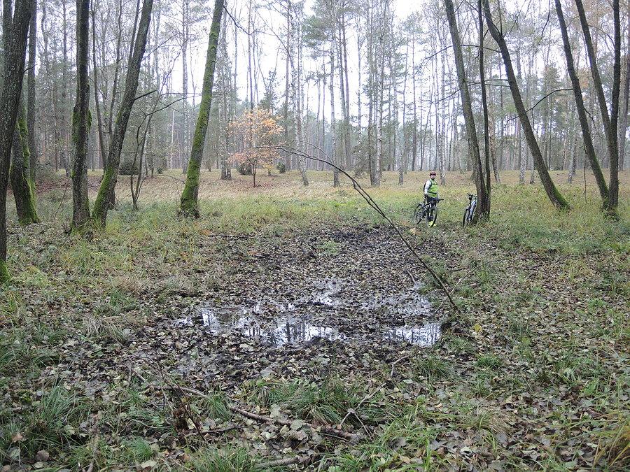 Dość bagnisty teren. Marek czeka na mnie a ja poszedłem szukać ruin