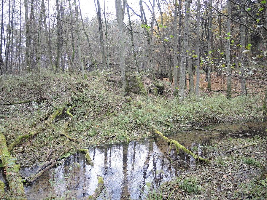 Ruiny młyna Wilczak - ponoć kiedyś stał tu drewniany, piętrowy dworek w stylu góralskim