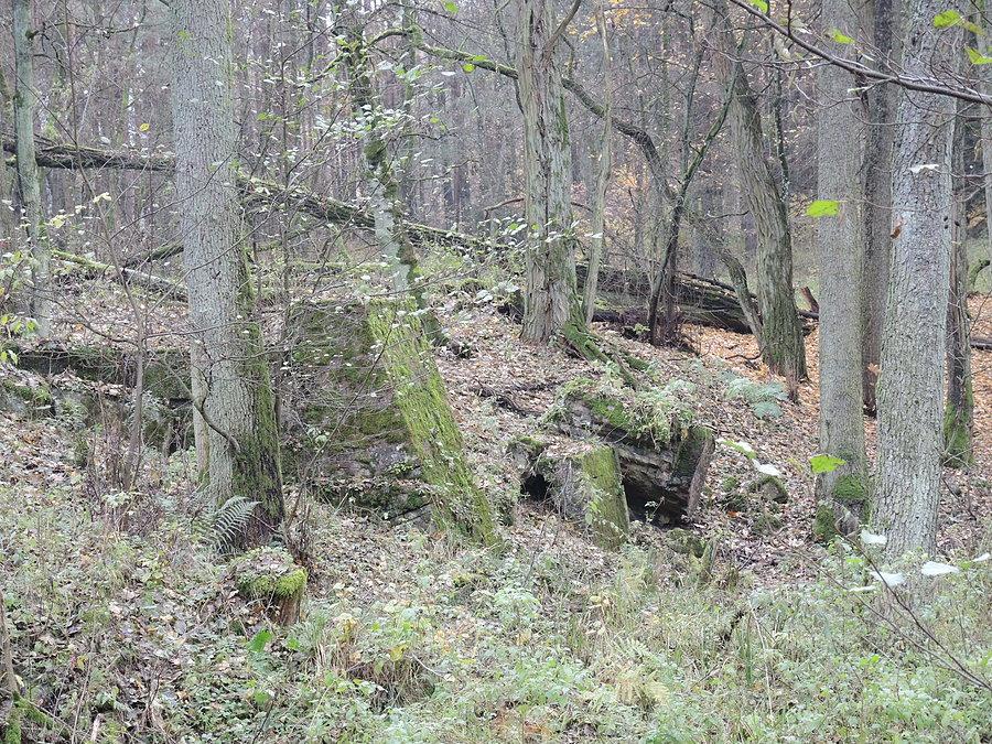 Zbliżenie na ruiny młyna - niestety podjechaliśmy z drugiej strony rzeki i nie było możliwości przeprawienia się na drugi brzeg bezpośrednio do ruin