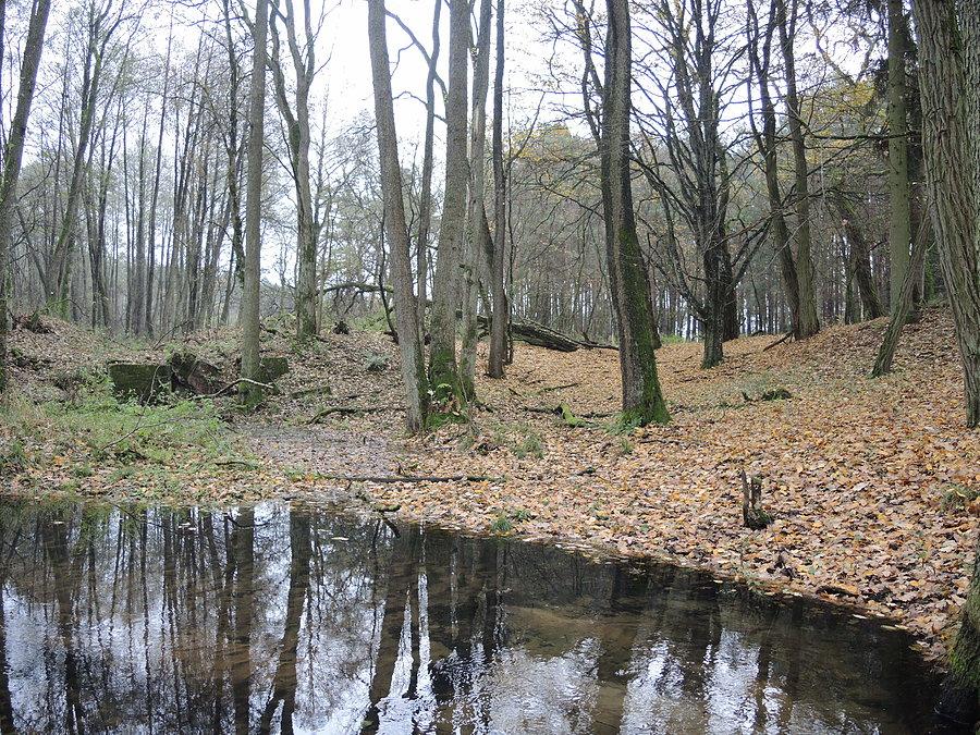 Okolice ruin - następnym razem podjadę z drugiej strony rzeki