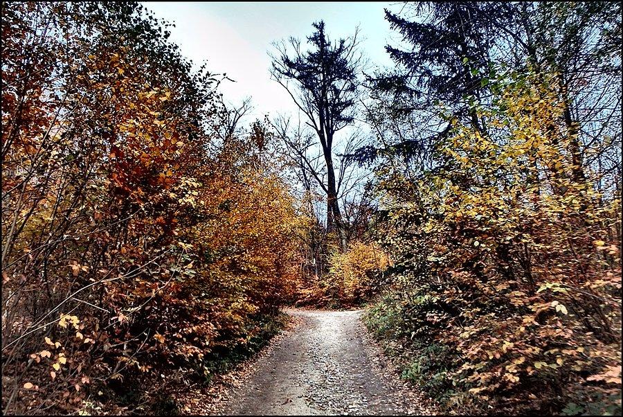Masyw Ślęży i Raduni