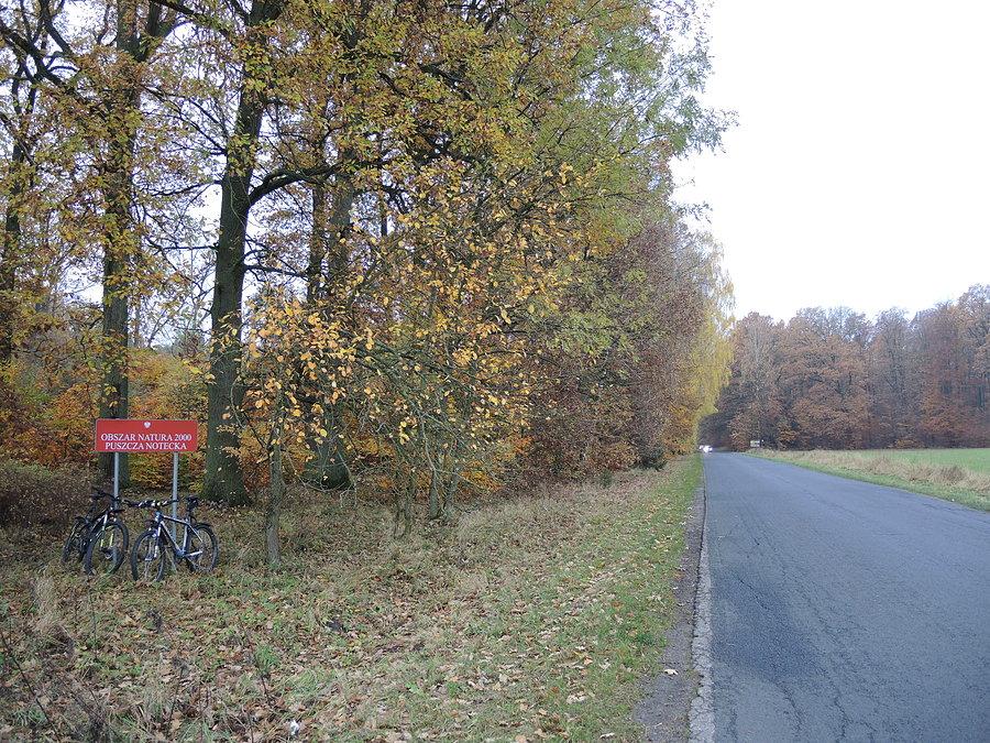 Puszcza Notecka - za chwilę odbijamy w kierunku Klempicza