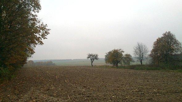 Szaro buro i ponuro