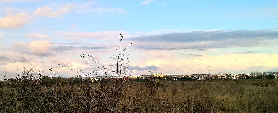 Panorama Szczecina - widok spod Rajkowa
