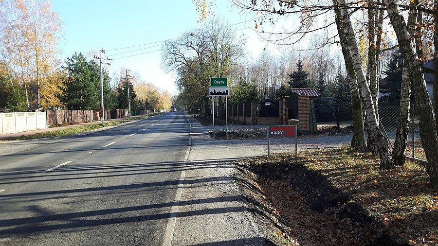 Kady i Opypy na trasie Grodzisk - Siestrzeń