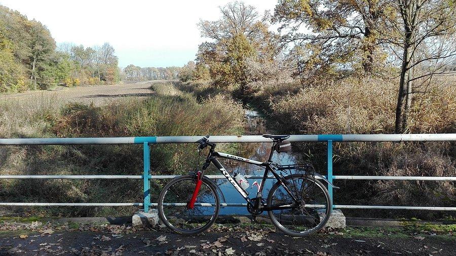 Nad Czarną Wodą za Górzycami