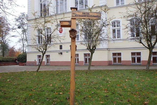 W Wągrowcu nawet owady zapylające mają swój hotel;)