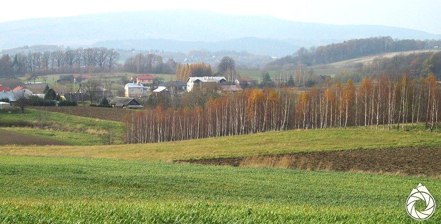 Maślana Góra w tle pól i łąk Dominikowic
