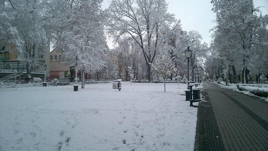 Zima w parku