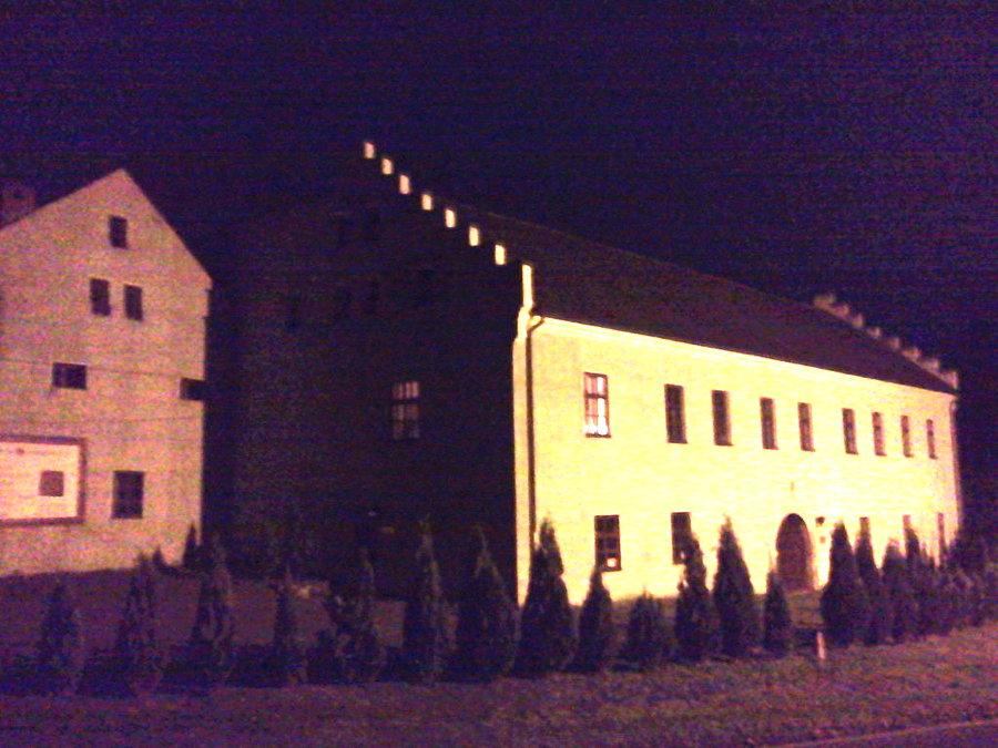 Zamek w Dzięgielowie