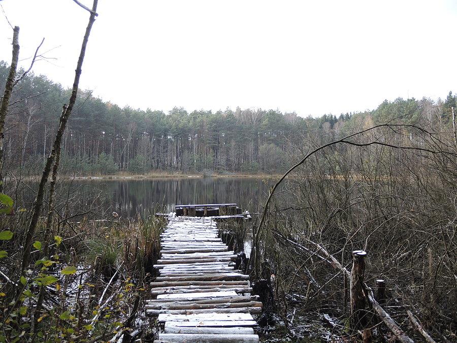 Pomost nad jeziorem Pustelnik I