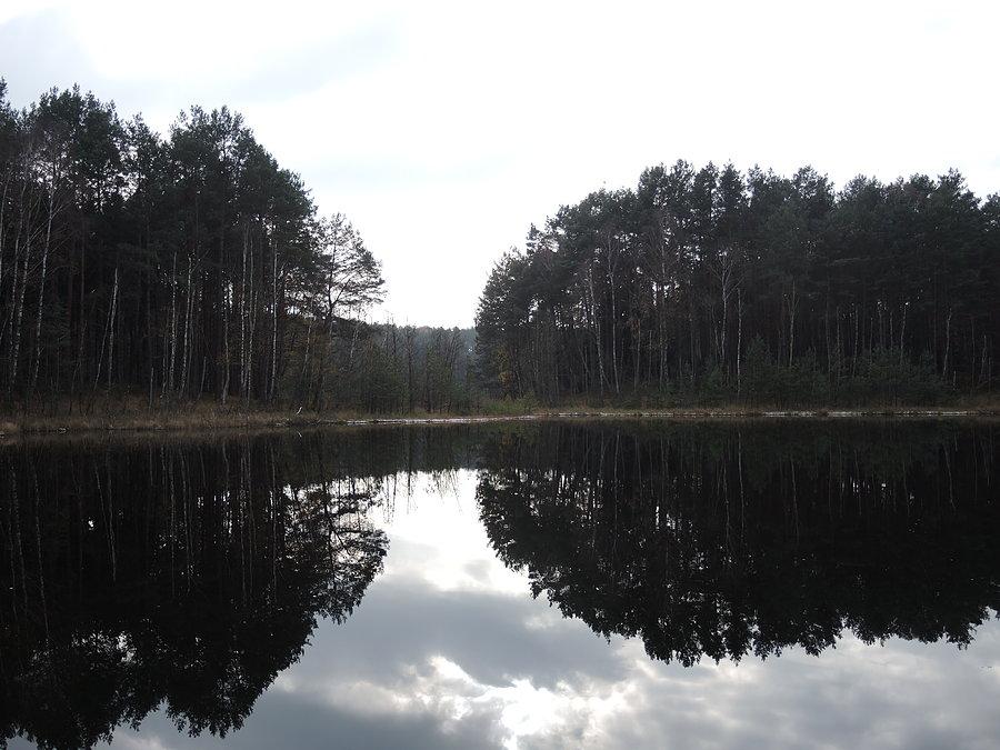 Jezioro Pustelnik I widok od strony północnej