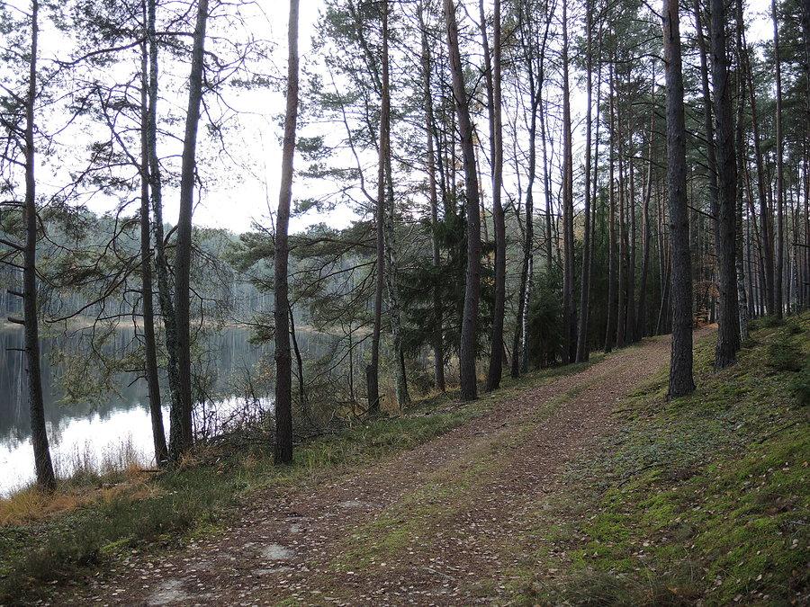 Droga wzdłuż jeziora Pustelnik II