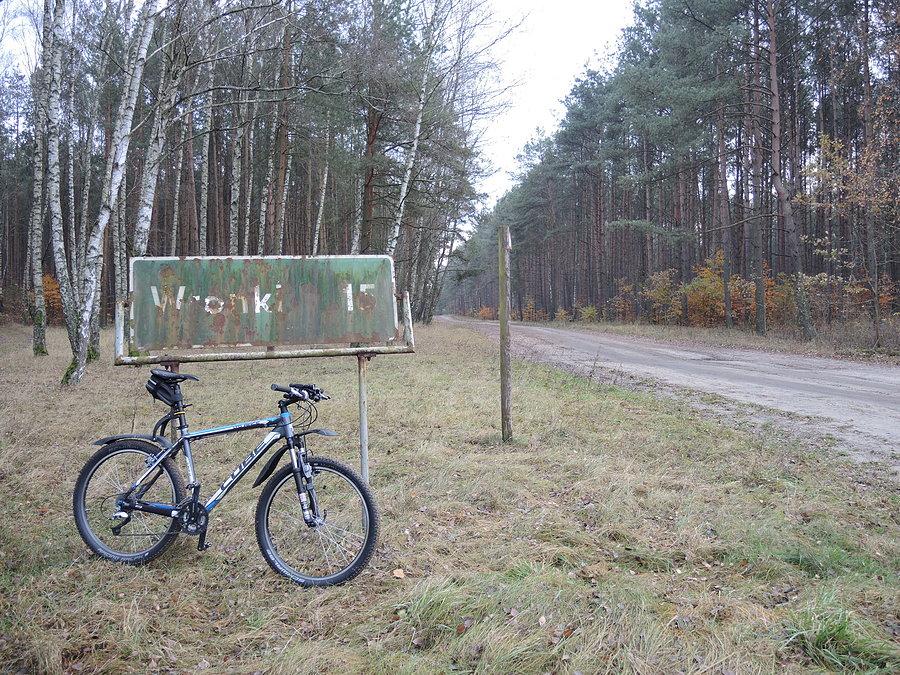 Wronki 15 / drogowskaz w Hamrzysku