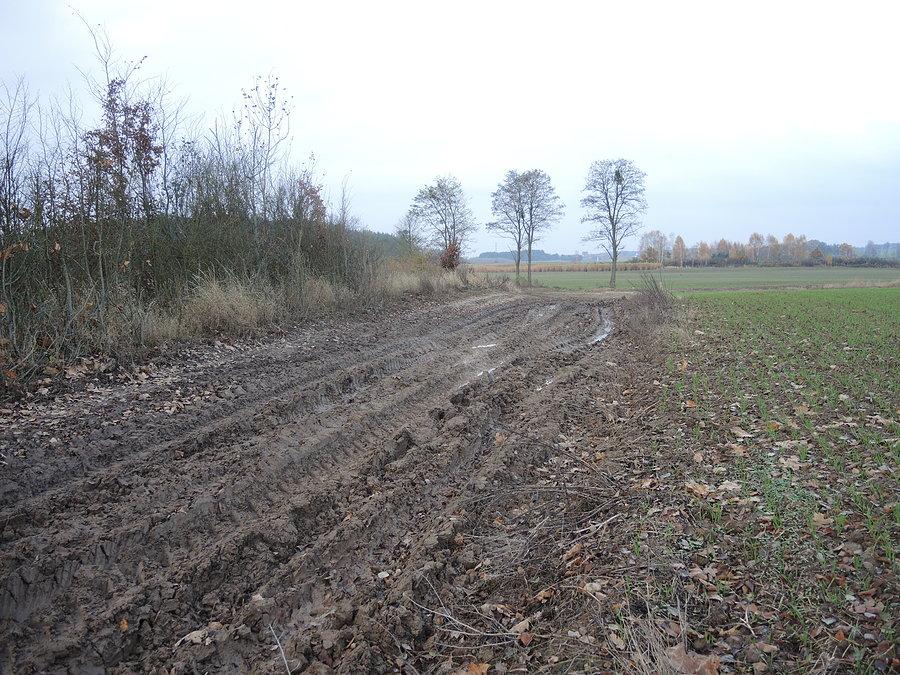 I się wpierdzieliłem... / droga ze Sławienka w kierunku Dębego