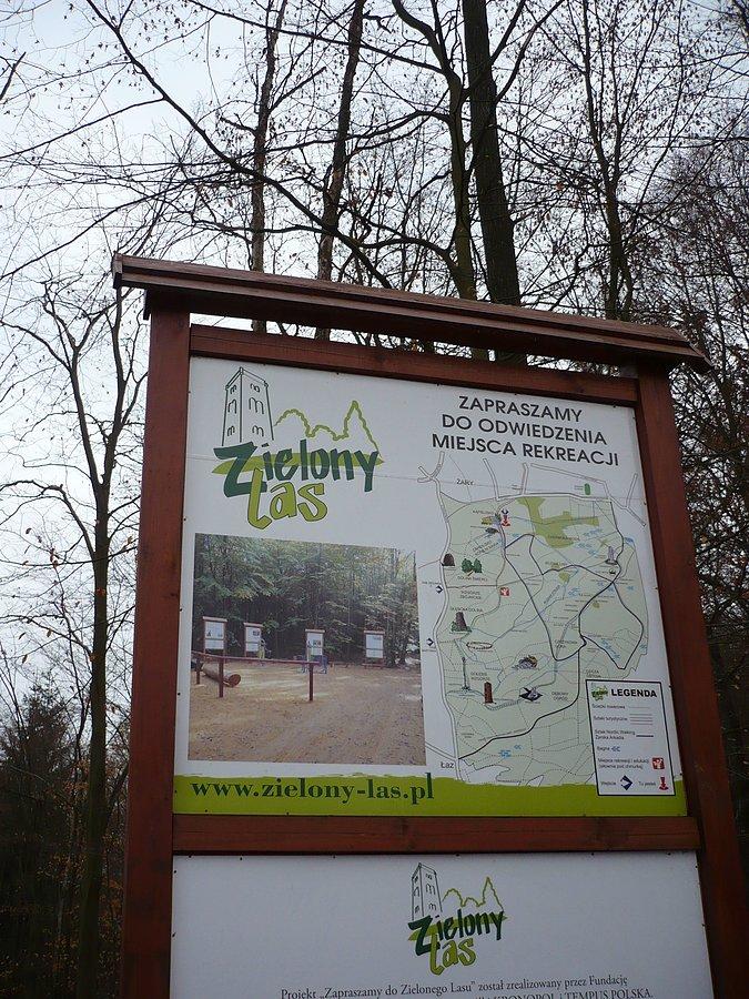 Zielony Las